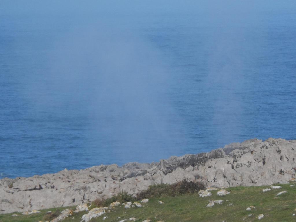 ホテル La Quintaesencia La Pereda de Llanes エクステリア 写真